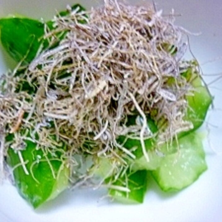 塩揉みきゅうりの納豆昆布和え**